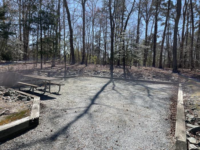 A photo of Site 65 of Loop LEFT at LONGWOOD PARK with Picnic Table, Tent Pad, Lantern Pole