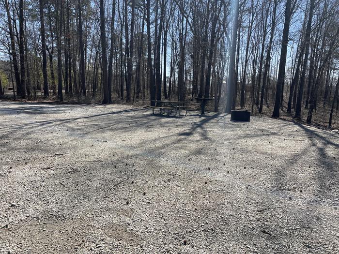 A photo of Site 28 of Loop LEFT at LONGWOOD PARK with Picnic Table, Fire Pit, Tent Pad, Lantern Pole