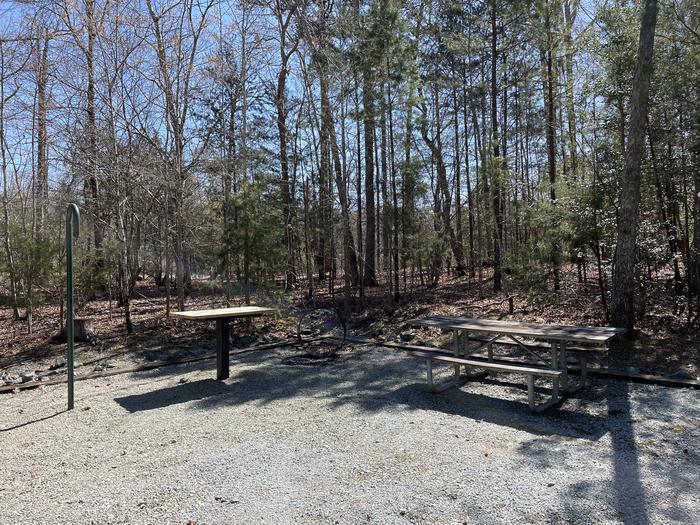 A photo of Site 64 of Loop LEFT at LONGWOOD PARK with Picnic Table, Fire Pit, Tent Pad, Lantern Pole