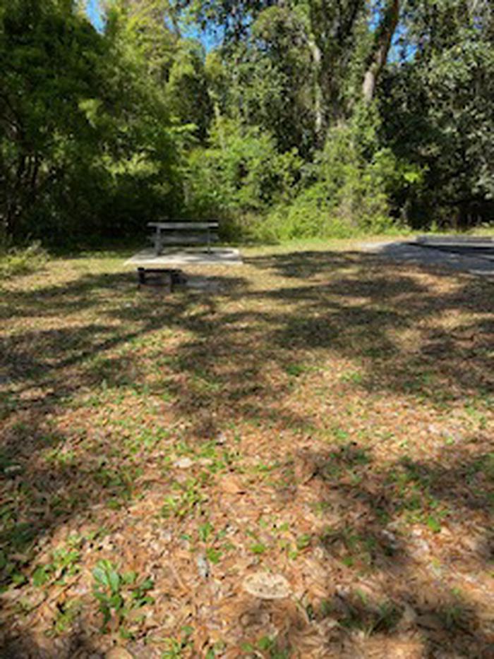 Site 2 picnic area