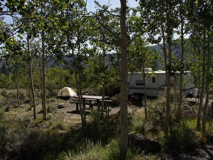Forested campsite with a tent, picnic table, and RVBOWERY CREEK