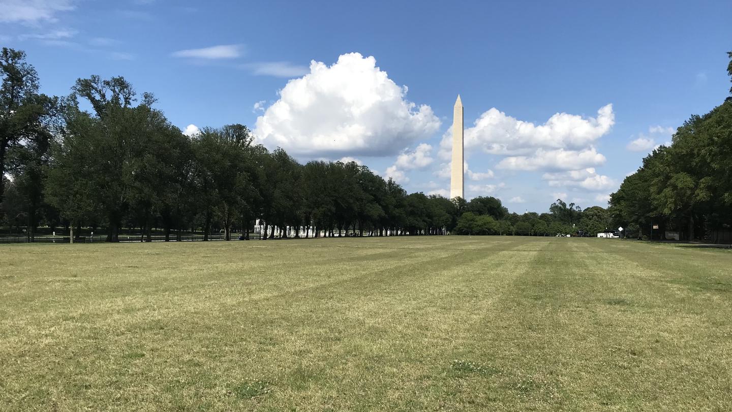 The photo shows a grassy field with trees and the Washington Monument in the background.Lincoln Memorial Grounds Mixed Use Fields