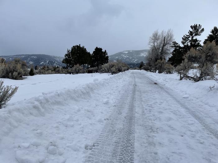Mammoth Hot Springs Campground winter roads, looking southMammoth Campground roads are plowed in the winter, however you may need to bring a shovel to clear entry to your campsite.