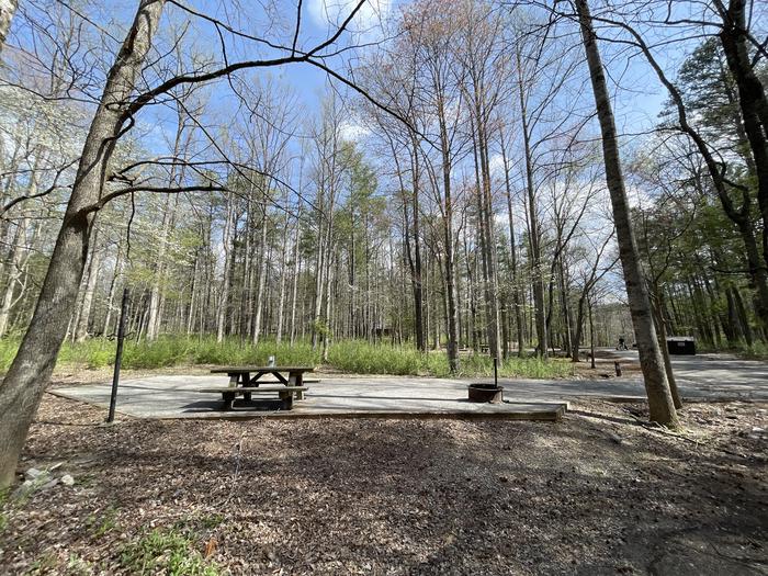 A photo of Site 021 of Loop A at INDIAN BOUNDARY with Picnic Table, Electricity Hookup, Fire Pit