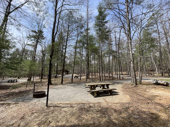 A photo of Site 089 of Loop D at INDIAN BOUNDARY with Picnic Table, Electricity Hookup, Fire Pit