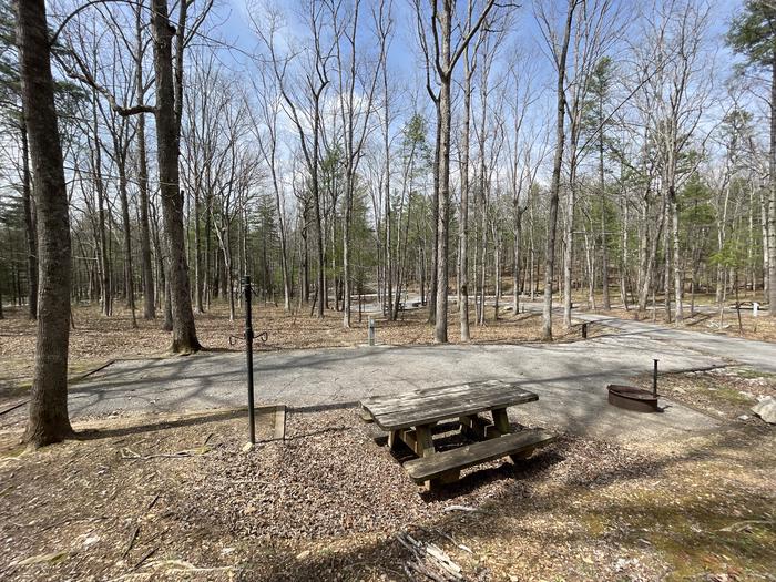 A photo of Site 082 of Loop D at INDIAN BOUNDARY with Picnic Table, Electricity Hookup, Fire Pit