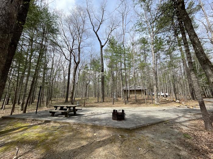 A photo of Site 062 of Loop C at INDIAN BOUNDARY with Picnic Table, Electricity Hookup, Fire Pit