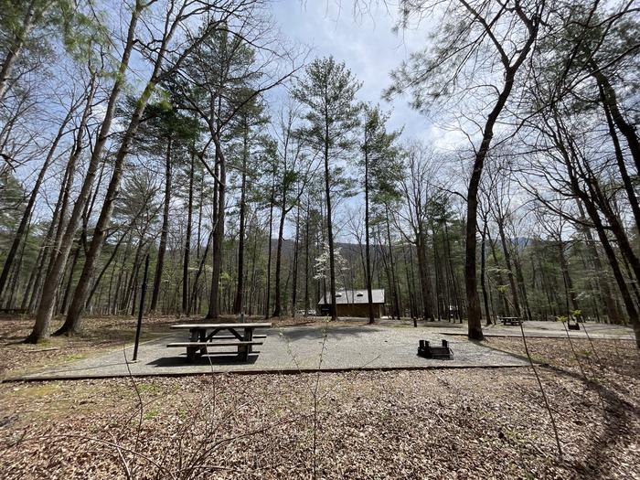 A photo of Site 065 of Loop C at INDIAN BOUNDARY with Picnic Table, Electricity Hookup, Fire Pit