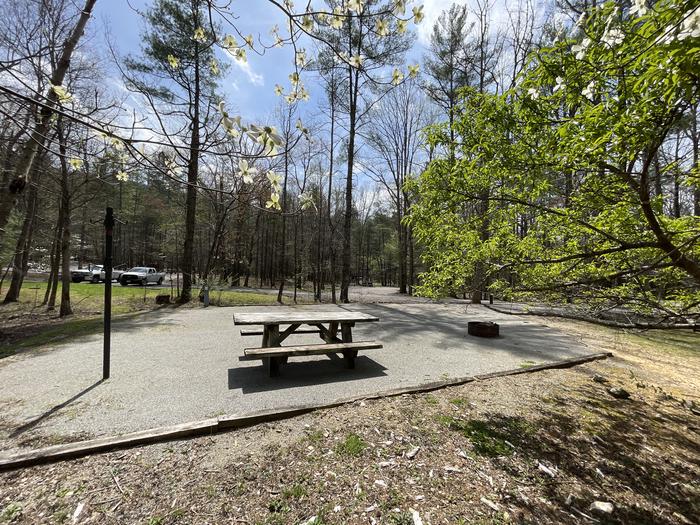 A photo of Site 044 of Loop B at INDIAN BOUNDARY with Picnic Table, Electricity Hookup, Fire Pit