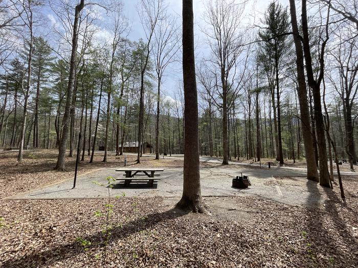 A photo of Site 067 of Loop C at INDIAN BOUNDARY with Picnic Table, Electricity Hookup, Fire Pit