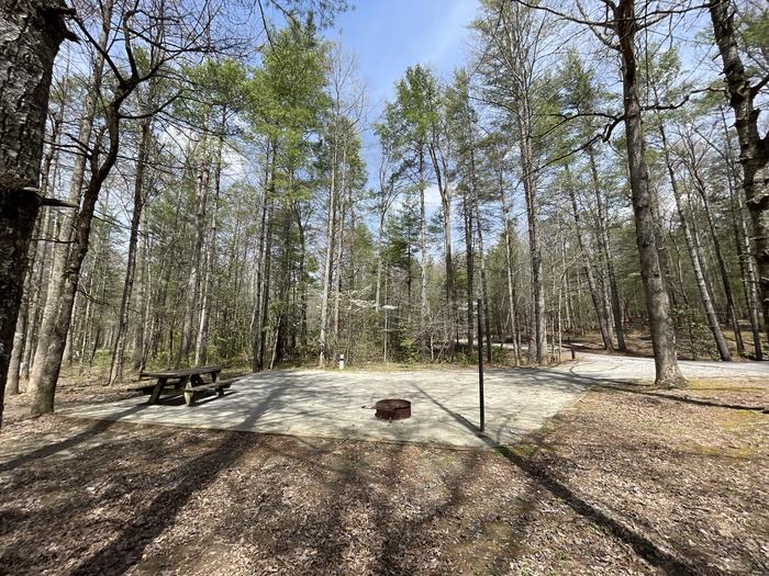 A photo of Site 037 of Loop B at INDIAN BOUNDARY with Picnic Table, Electricity Hookup, Fire Pit