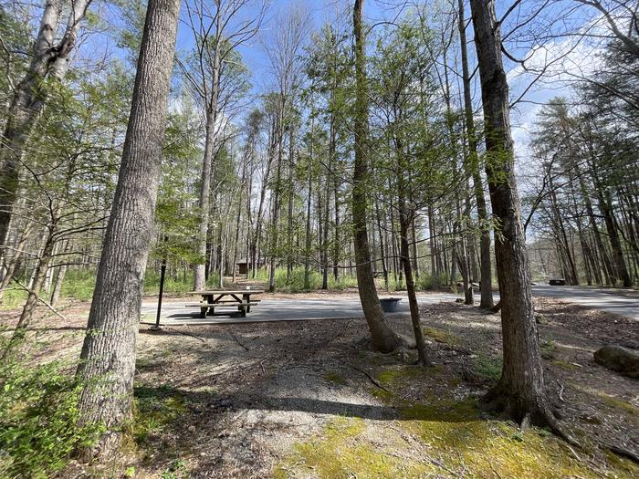 A photo of Site 022 of Loop A at INDIAN BOUNDARY with Picnic Table, Electricity Hookup, Fire Pit