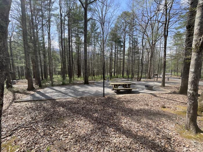 A photo of Site 008 of Loop A at INDIAN BOUNDARY with Picnic Table, Electricity Hookup, Fire Pit, Tent Pad, Lantern Pole