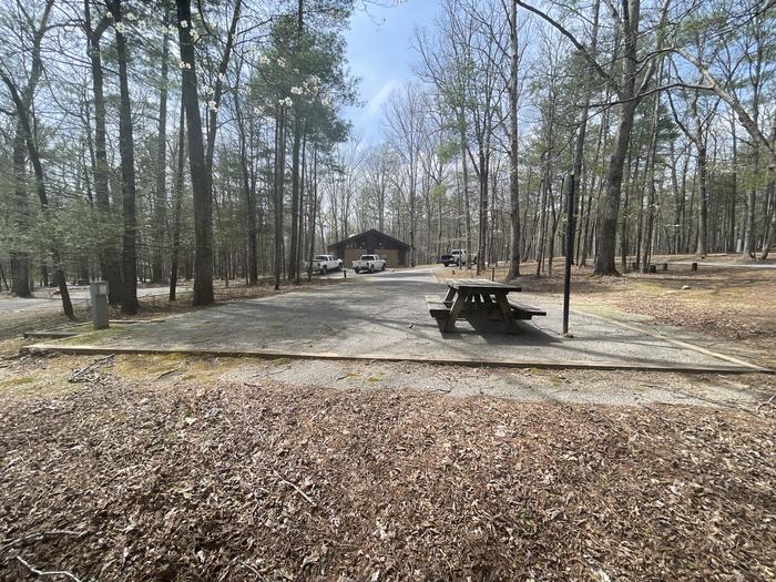 A photo of Site 064 of Loop C at INDIAN BOUNDARY with Picnic Table, Electricity Hookup, Fire Pit, Tent Pad, Lantern Pole