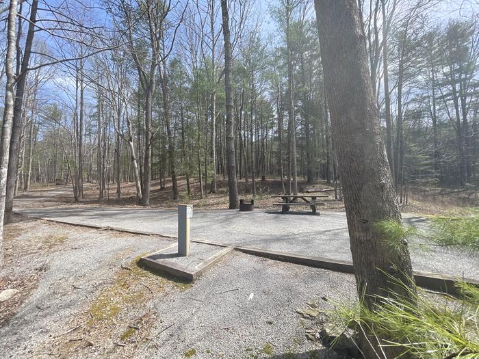 A photo of Site 074 of Loop D at INDIAN BOUNDARY with Picnic Table, Electricity Hookup, Fire Pit, Tent Pad, Lantern Pole