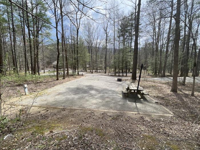 A photo of Site 054 of Loop C at INDIAN BOUNDARY with Picnic Table, Electricity Hookup, Fire Pit, Lantern Pole