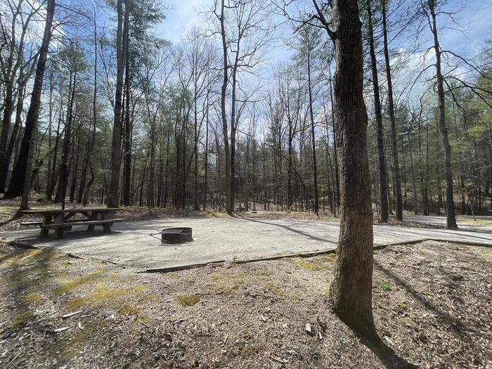 A photo of Site 036 of Loop B at INDIAN BOUNDARY with Picnic Table, Electricity Hookup, Fire Pit, Tent Pad, Lantern Pole