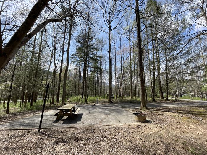 A photo of Site 013 of Loop A at INDIAN BOUNDARY with Picnic Table, Electricity Hookup, Fire Pit