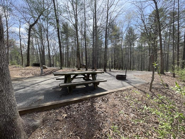 A photo of Site 007 of Loop A at INDIAN BOUNDARY with Picnic Table, Electricity Hookup, Fire Pit, Tent Pad, Lantern Pole