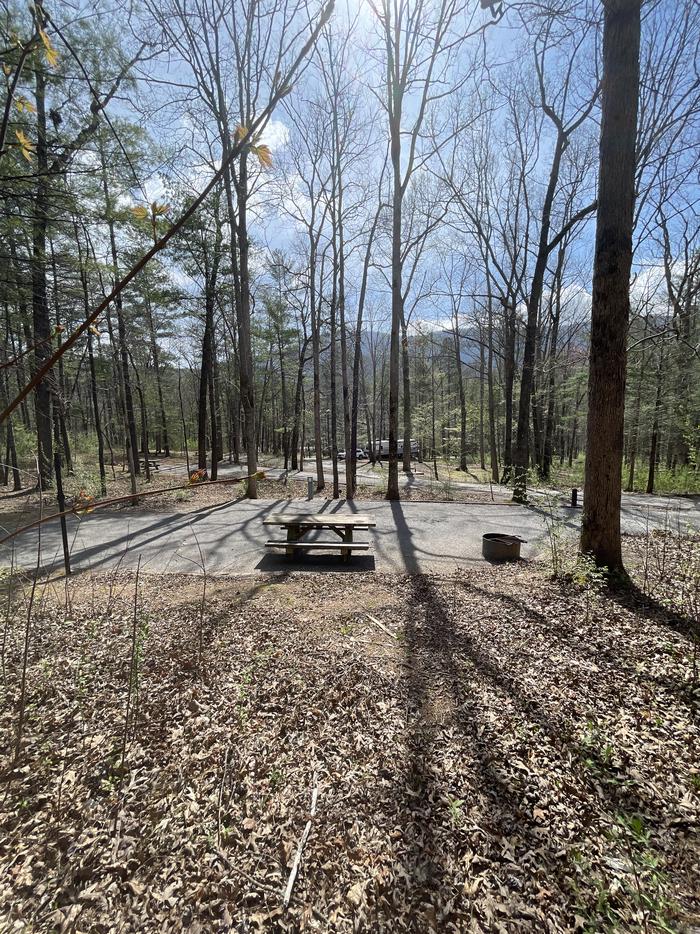 A photo of Site 005 of Loop A at INDIAN BOUNDARY with Picnic Table, Electricity Hookup, Fire Pit, Tent Pad, Lantern Pole