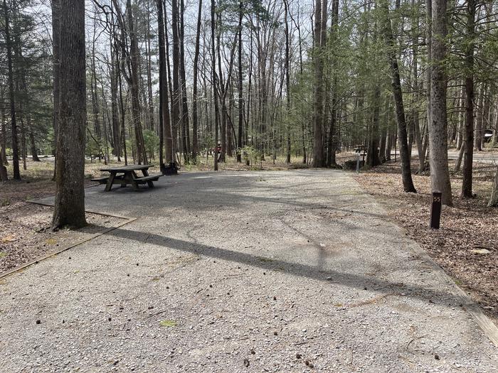 A photo of Site 055 of Loop C at INDIAN BOUNDARY with Picnic Table, Electricity Hookup, Fire Pit, Tent Pad, Lantern Pole