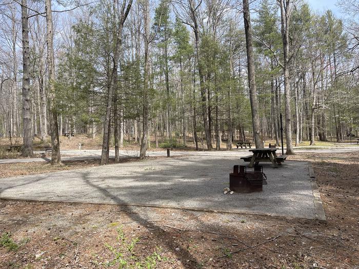 A photo of Site 055 of Loop C at INDIAN BOUNDARY with Picnic Table, Electricity Hookup, Fire Pit, Tent Pad, Lantern Pole