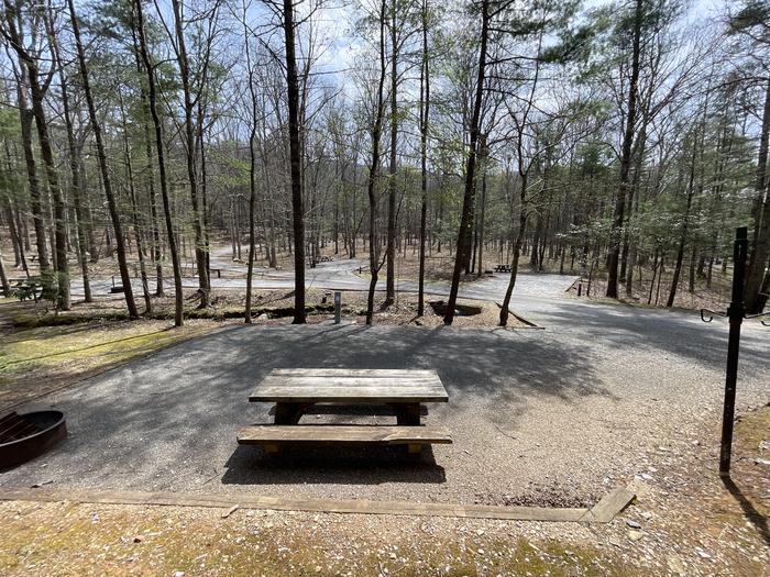 A photo of Site 087 of Loop D at INDIAN BOUNDARY with Picnic Table, Electricity Hookup, Fire Pit