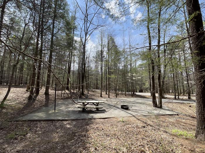 A photo of Site 040 of Loop B at INDIAN BOUNDARY with Picnic Table, Electricity Hookup, Fire Pit