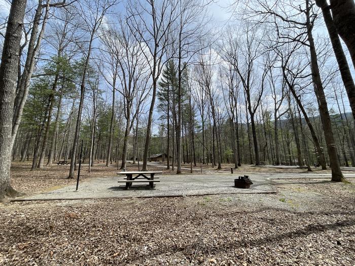 A photo of Site 068 of Loop C at INDIAN BOUNDARY with Picnic Table, Electricity Hookup, Fire Pit