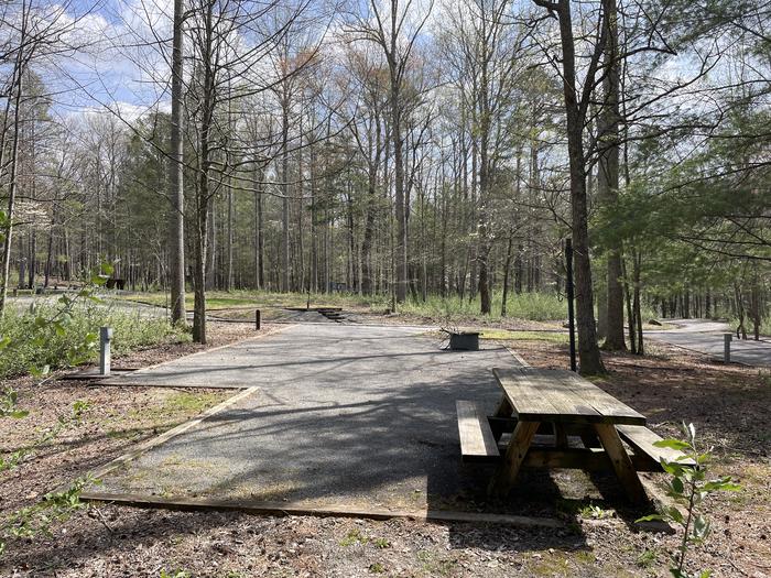 A photo of Site 015 of Loop A at INDIAN BOUNDARY with Picnic Table, Electricity Hookup, Fire Pit