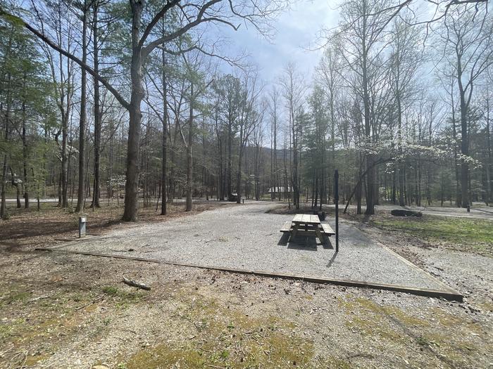 A photo of Site 058 of Loop C at INDIAN BOUNDARY with Picnic Table, Electricity Hookup, Fire Pit, Tent Pad, Lantern Pole