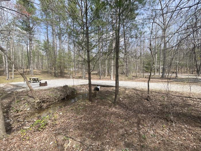 A photo of Site 058 of Loop C at INDIAN BOUNDARY with Picnic Table, Electricity Hookup, Fire Pit, Tent Pad, Lantern Pole
