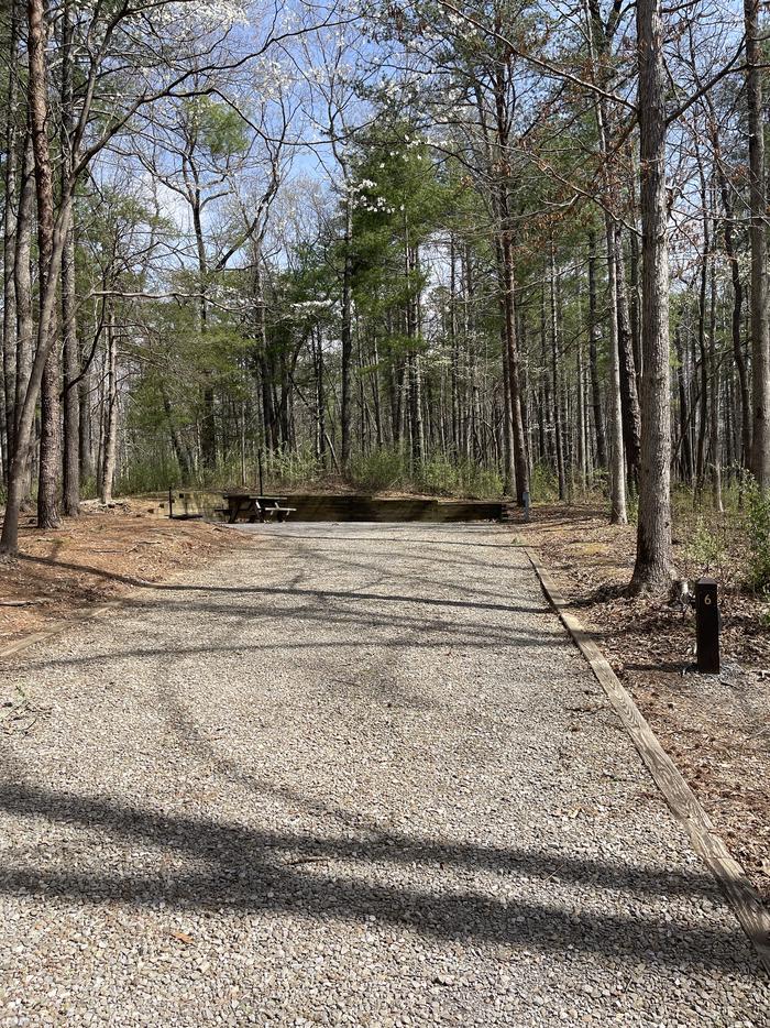 A photo of Site 006 of Loop A at INDIAN BOUNDARY with Picnic Table, Electricity Hookup, Fire Pit, Tent Pad, Lantern Pole