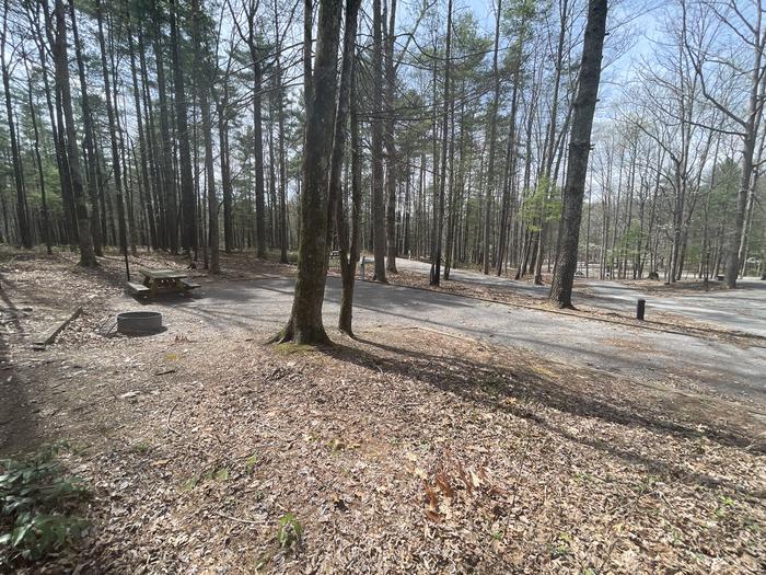 A photo of Site 078 of Loop D at INDIAN BOUNDARY with Picnic Table, Electricity Hookup, Fire Pit, Tent Pad, Lantern Pole
