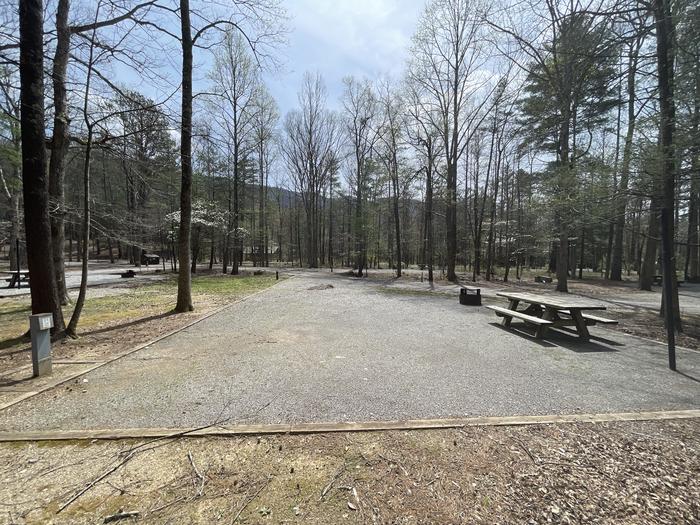 A photo of Site 056 of Loop C at INDIAN BOUNDARY with Picnic Table, Electricity Hookup, Fire Pit, Tent Pad, Lantern Pole