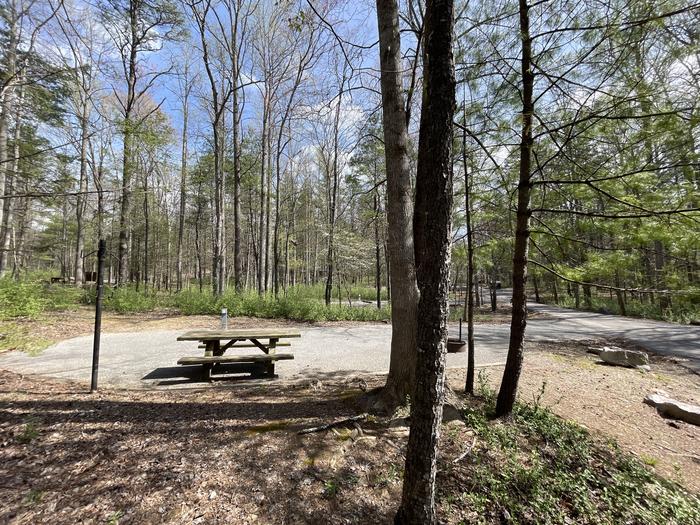 A photo of Site 020 of Loop A at INDIAN BOUNDARY with Picnic Table, Electricity Hookup, Fire Pit