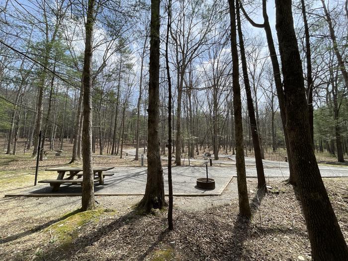 A photo of Site 085 of Loop D at INDIAN BOUNDARY with Picnic Table, Electricity Hookup, Fire Pit