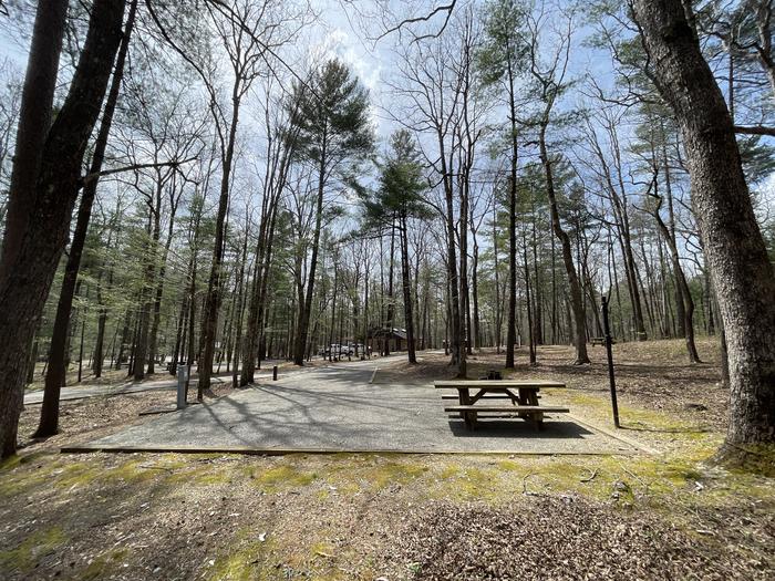A photo of Site 090 of Loop D at INDIAN BOUNDARY with Picnic Table, Electricity Hookup, Fire Pit