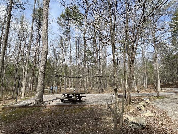A photo of Site 080 of Loop D at INDIAN BOUNDARY with Picnic Table, Electricity Hookup, Fire Pit