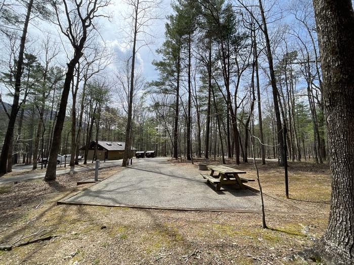 A photo of Site 091 of Loop D at INDIAN BOUNDARY with Picnic Table, Electricity Hookup, Fire Pit