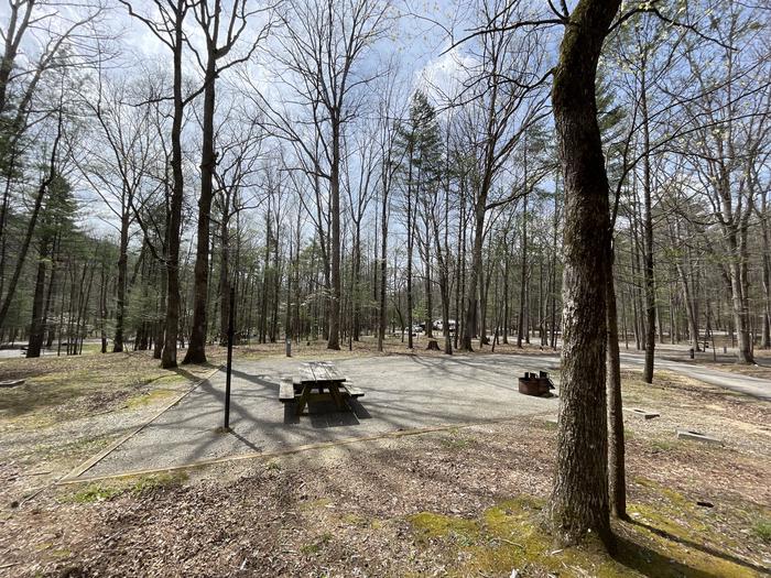 A photo of Site 066 of Loop C at INDIAN BOUNDARY with Picnic Table, Electricity Hookup, Fire Pit