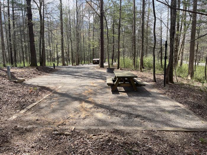 A photo of Site 009 of Loop A at INDIAN BOUNDARY with Picnic Table, Electricity Hookup, Fire Pit, Tent Pad, Lantern Pole