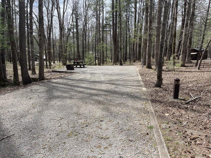 A photo of Site 053 of Loop C at INDIAN BOUNDARY with Picnic Table, Electricity Hookup, Fire Pit, Tent Pad, Lantern Pole