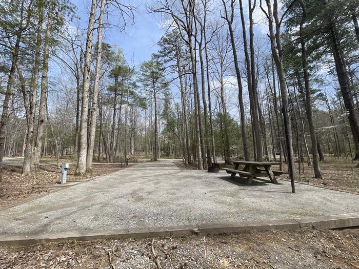 A photo of Site 053 of Loop C at INDIAN BOUNDARY with Picnic Table, Electricity Hookup, Fire Pit, Tent Pad, Lantern Pole