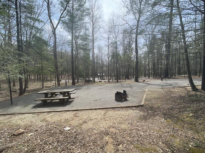 A photo of Site 063 of Loop C at INDIAN BOUNDARY with Picnic Table, Electricity Hookup, Fire Pit, Tent Pad, Lantern Pole