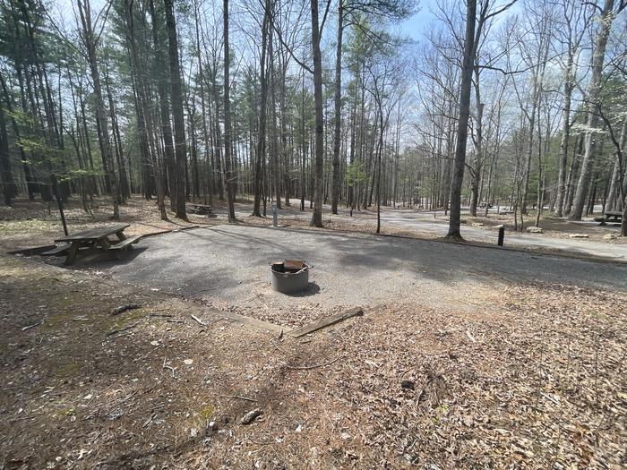 A photo of Site 079 of Loop D at INDIAN BOUNDARY with Picnic Table, Electricity Hookup, Fire Pit, Tent Pad, Lantern Pole