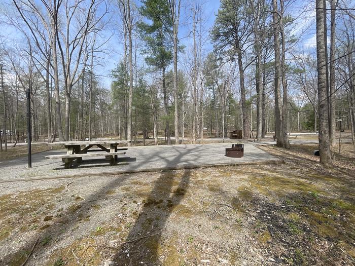 A photo of Site 073 of Loop D at INDIAN BOUNDARY with Picnic Table, Electricity Hookup, Fire Pit, Tent Pad, Lantern Pole