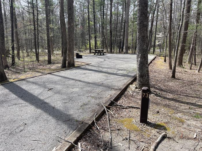 A photo of Site 073 of Loop D at INDIAN BOUNDARY with Picnic Table, Electricity Hookup, Fire Pit, Tent Pad, Lantern Pole