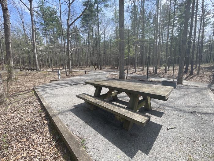 A photo of Site 076 of Loop D at INDIAN BOUNDARY with Picnic Table, Electricity Hookup, Fire Pit, Tent Pad, Lantern Pole