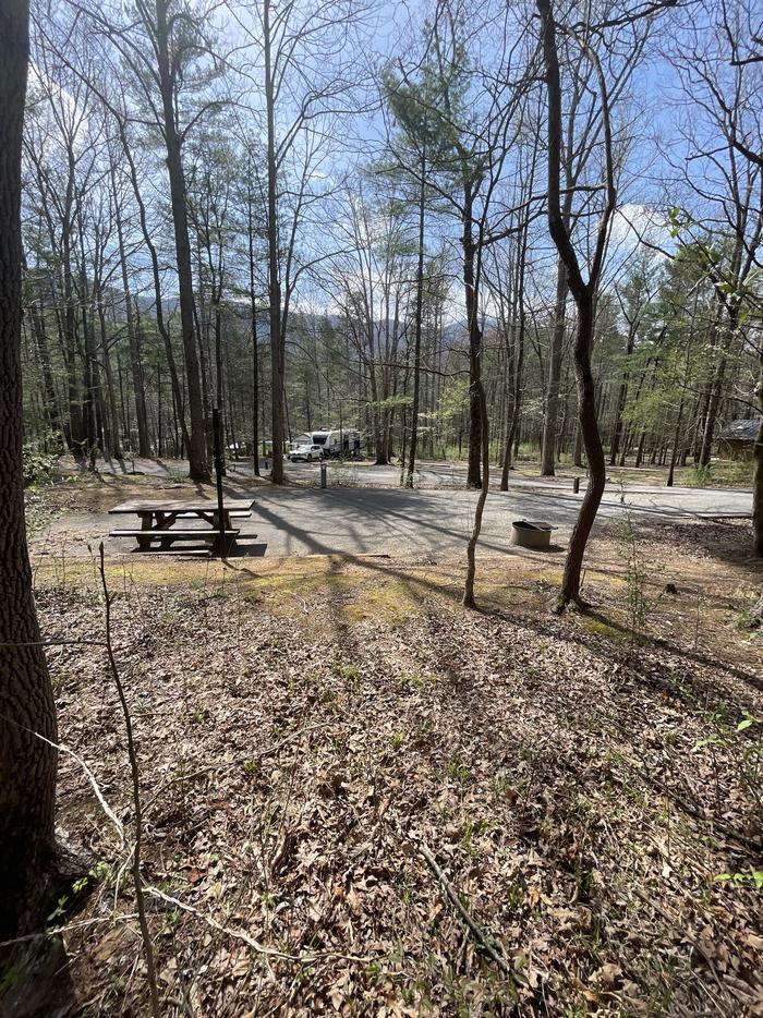 A photo of Site 004 of Loop A at INDIAN BOUNDARY with Picnic Table, Electricity Hookup, Fire Pit, Tent Pad, Lantern Pole